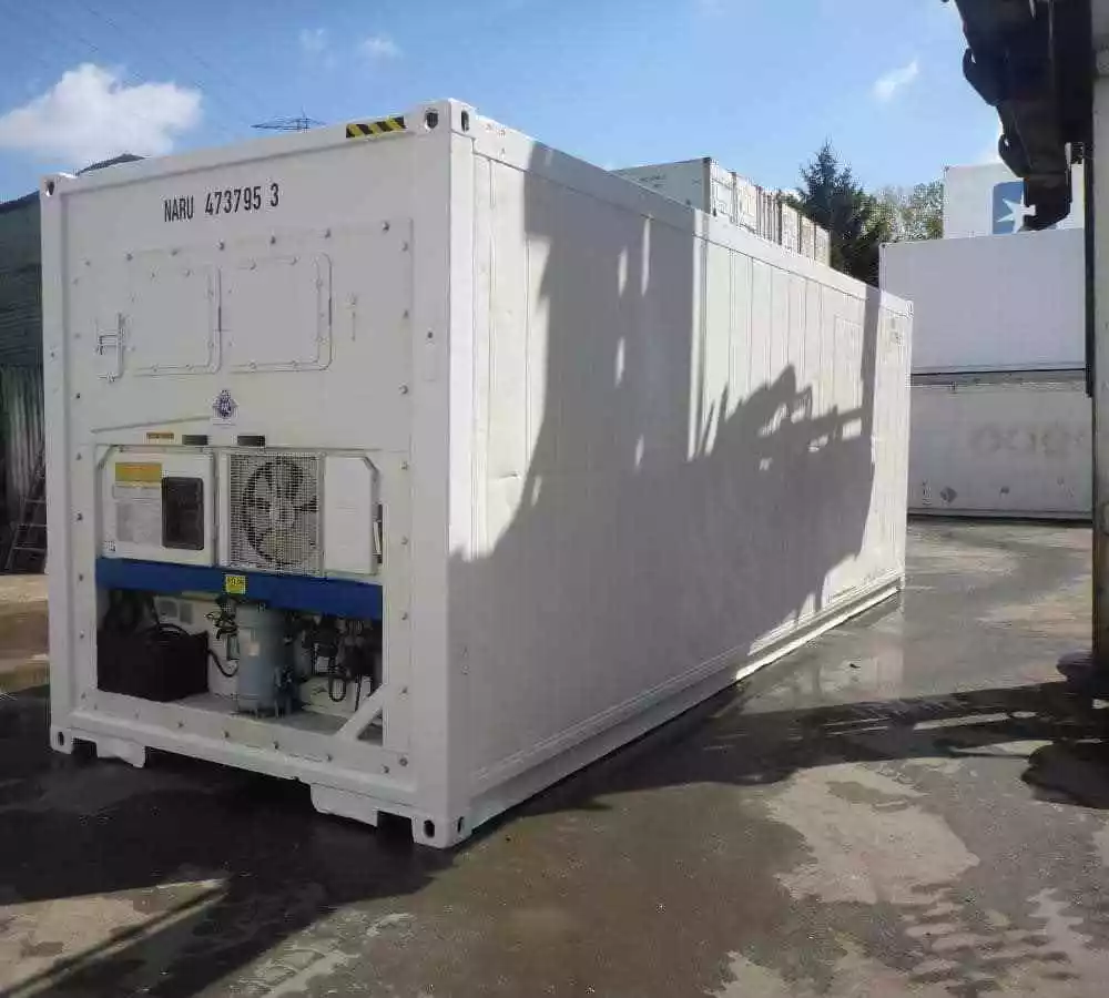 30ft Gefriercontainer – Maßgeschneiderte Mobile Kältezelle (Reefer Container)